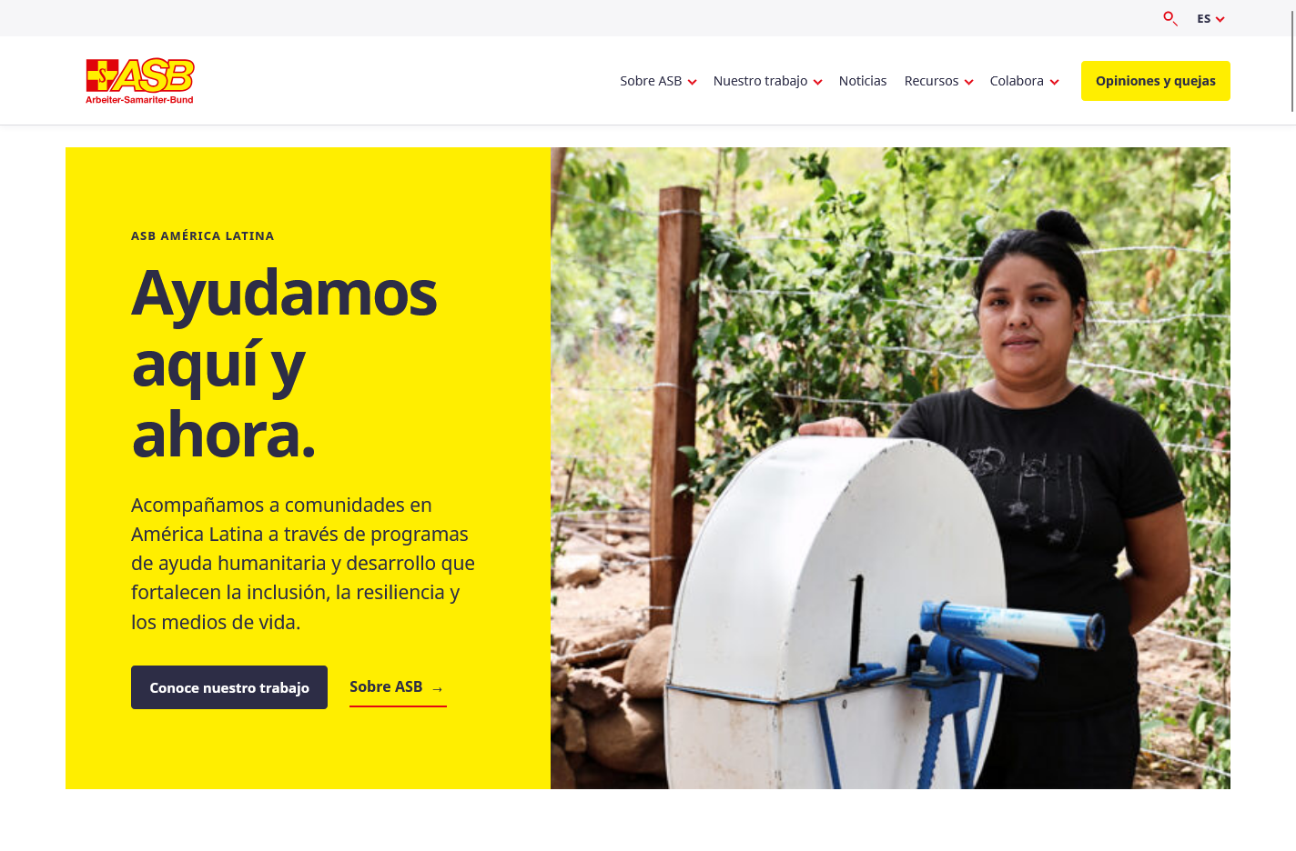 Vista previa de la propuesta Minimalista institucional
